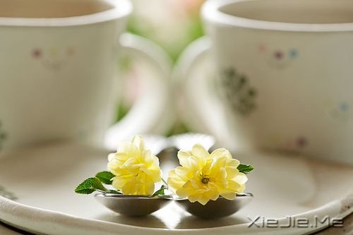 早安心语：你这么害怕明天，怎能过好今天 (7)