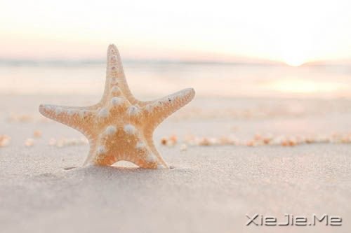 早安心语：你这么害怕明天，怎能过好今天 (11)