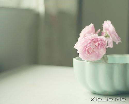这样在有生之年，我还可以看到你