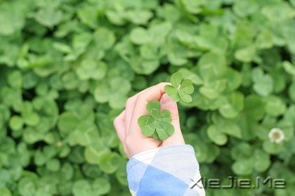 文字：接受自己本来的样子